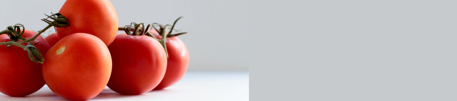 Fresh Vegetables