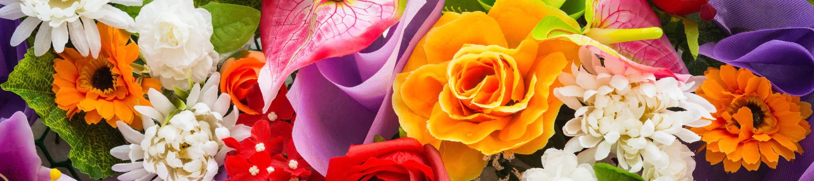 Carnations