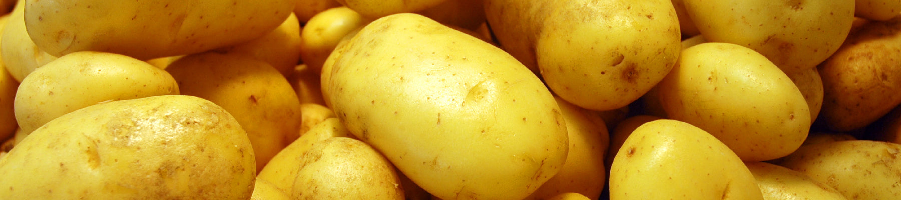 Tubers
