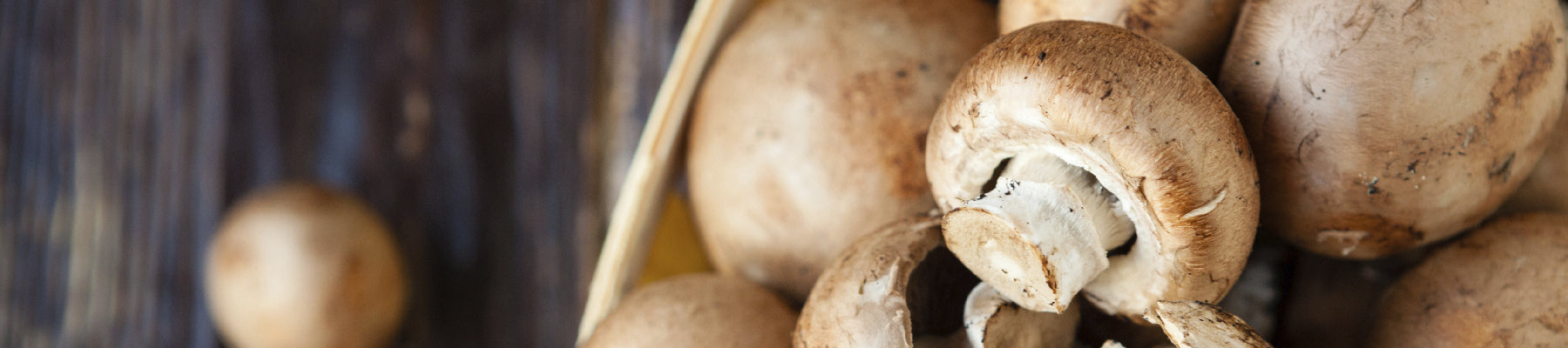 Mushrooms