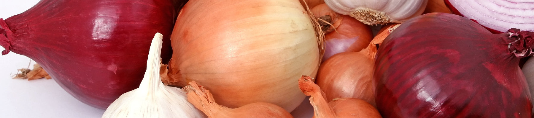 Bulbs