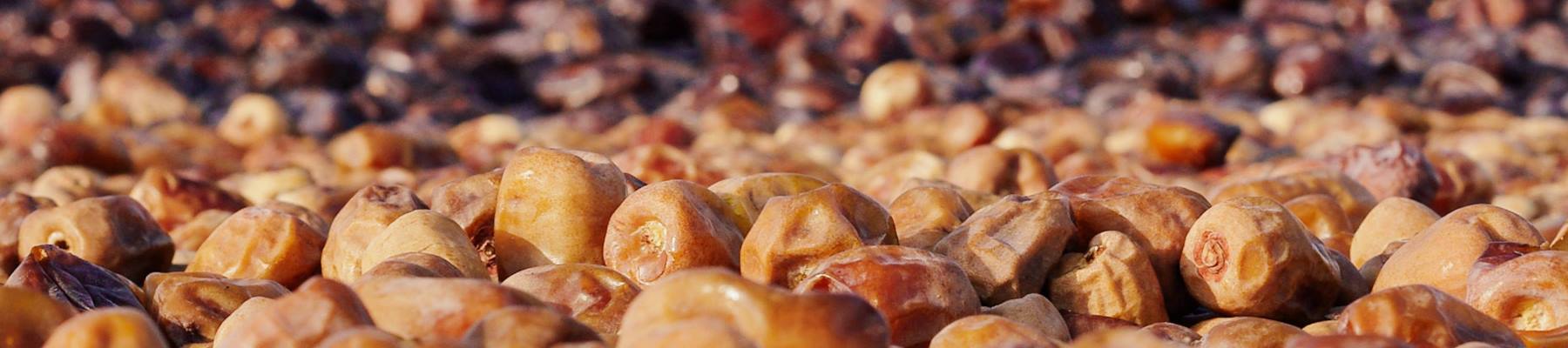 Nuts & dried fruit