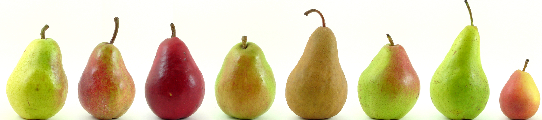 Pears