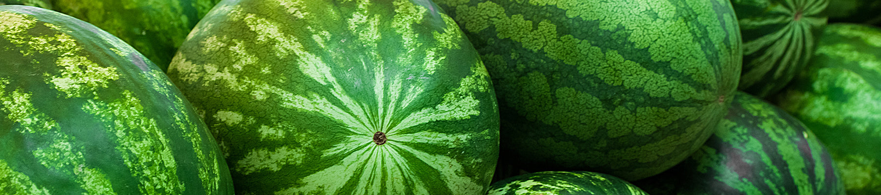 Melons