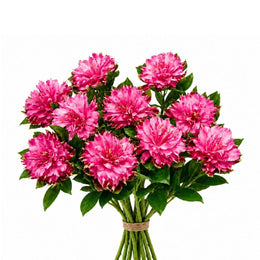 Alstroemeria Fashionista Sofiana, 10 Stems