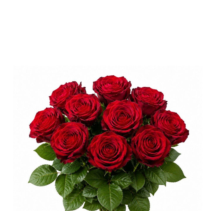 A bouquet of ten deep red roses with green leaves, photographed against a solid white background.
