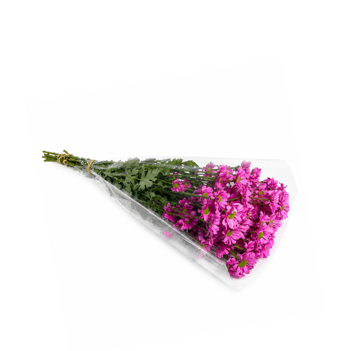 Bouquet of pink flowers wrapped in cellophane on a white background