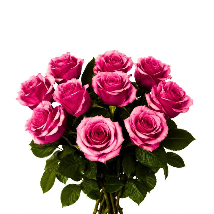 Roses, Authentic fresh-cut flower bunch, from Sharbatly.