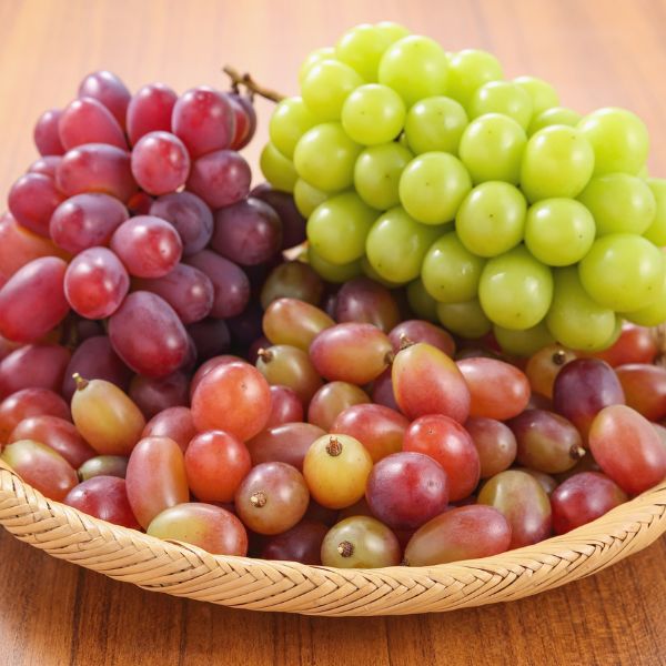 Fresh mango grapes from Sharbatly, 0.5 kg pack, showcasing ripe, colorful grapes with smooth skin and vibrant appearance.