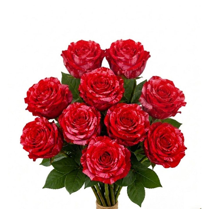 Roses, Frou Frou fresh-cut flower bunch, from Sharbatly.