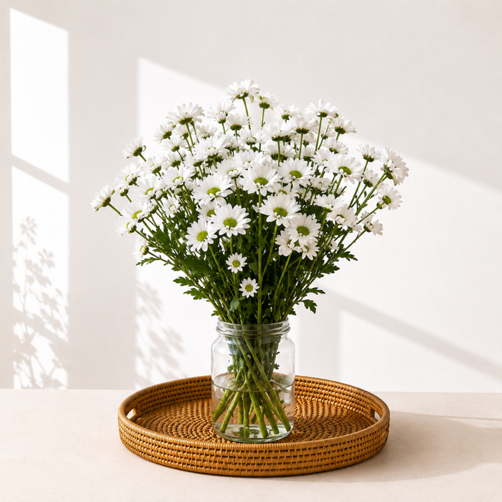 Chrysanthemums, Santini, Inzella White fresh-cut flowers arranged in a clear vase at home, from Sharbatly.