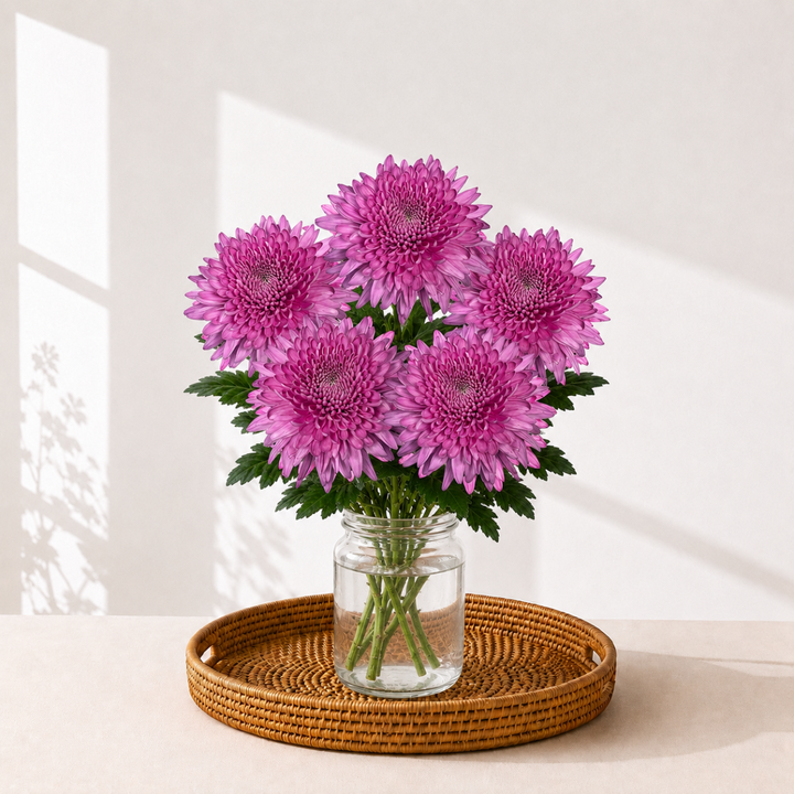 Chrysanthemums, Deco Chrys, Petrushika fresh-cut flowers arranged in a clear vase at home, from Sharbatly.