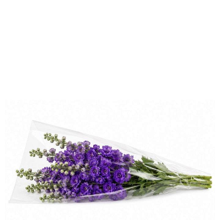 Delphiniums Purple Heart fresh-cut flowers in a protective sleeve, from Sharbatly.