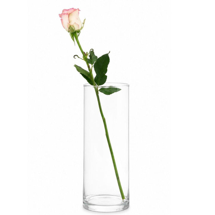 Single pink rose displayed in a tall clear glass vase, from Sharbatly.