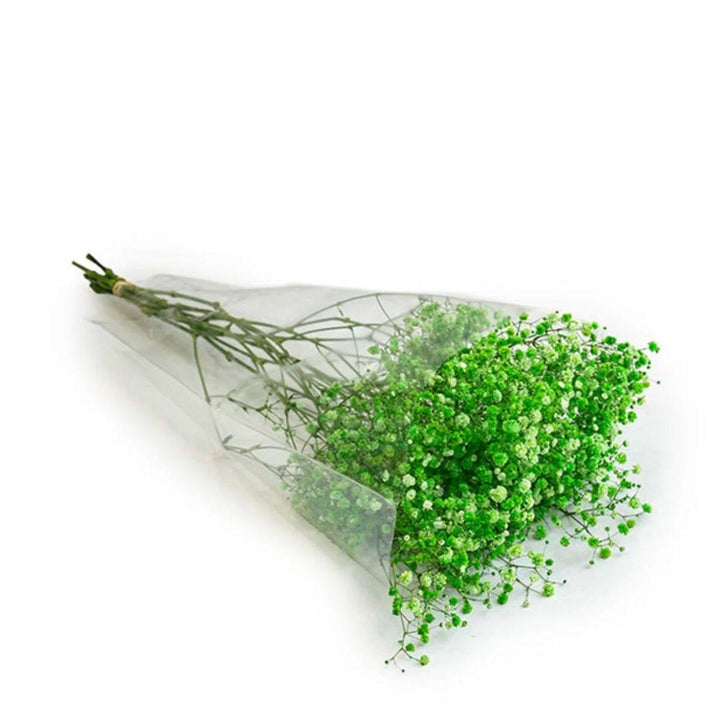 Gypsophila, Baby's-breath tinted Green stems in a protective sleeve, from Sharbatly.