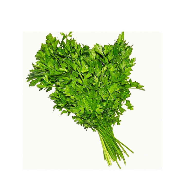Fresh flat-leaf parsley bunch viewed from above, from Sharbatly.