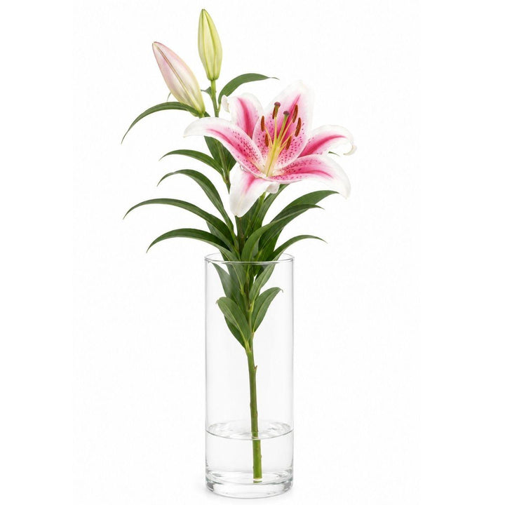 Pink lilies arranged in a tall clear glass vase, from Sharbatly.