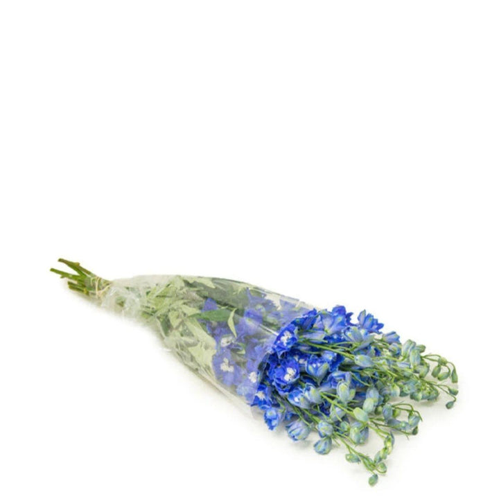 Delphiniums, Navy Blue fresh-cut flowers in a protective sleeve, from Sharbatly.