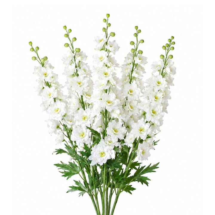Delphiniums, Snow White fresh-cut flower bunch, from Sharbatly.