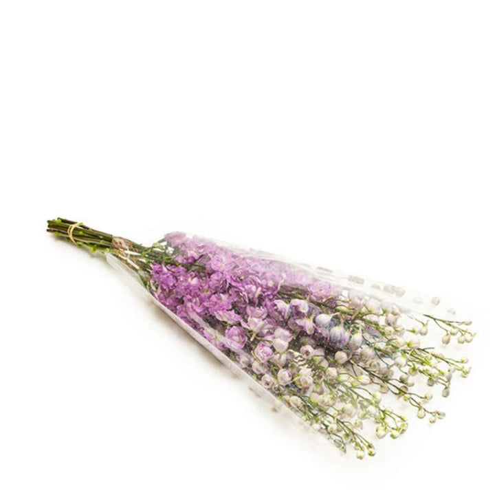Delphiniums, Light Pink fresh-cut flowers in a protective sleeve, from Sharbatly.