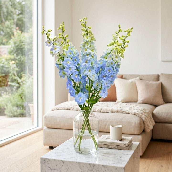 Delphiniums, Boy - Blue fresh-cut flowers arranged in a clear vase at home, from Sharbatly.