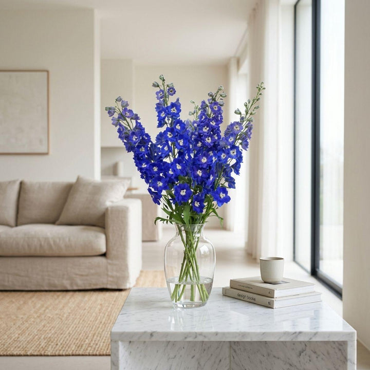 Delphiniums, Navy Blue fresh-cut flowers arranged in a clear vase at home, from Sharbatly.