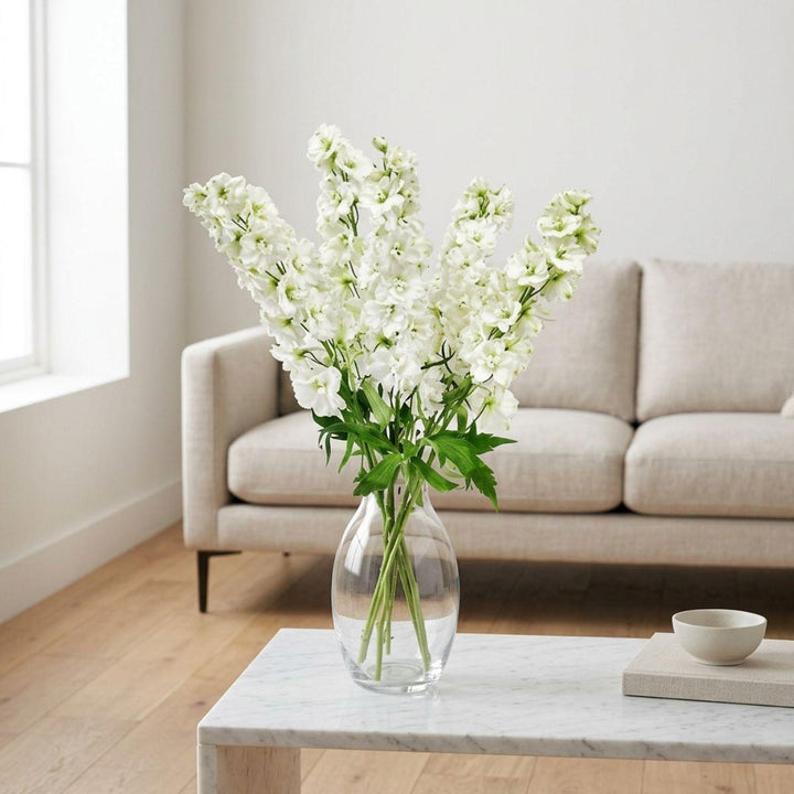 Delphiniums, Snow White fresh-cut flowers arranged in a clear vase at home, from Sharbatly.