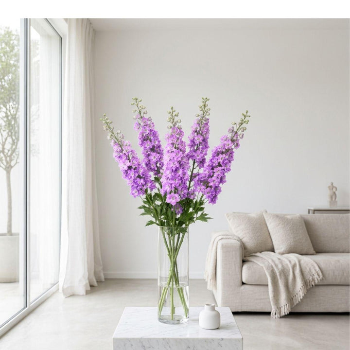Delphiniums, Light Pink fresh-cut flowers arranged in a clear vase at home, from Sharbatly.