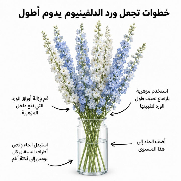 Arabic delphinium care guide with water, trimming and vase instructions, from Sharbatly.