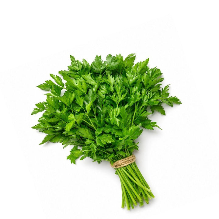 Tied bunch of fresh flat-leaf parsley, from Sharbatly.