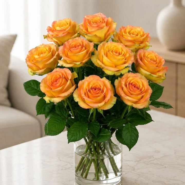 Close-up of Roses, Olduvai blooms and natural details, from Sharbatly.