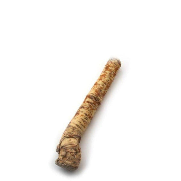 Single whole horseradish root, from Sharbatly.