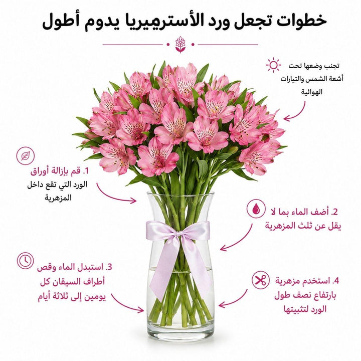 Purple Alstroemeria flowers from SQ Flora Kenya, 10 stems of vibrant, blooming purple Alstroemeria arranged in a natural bouquet.
