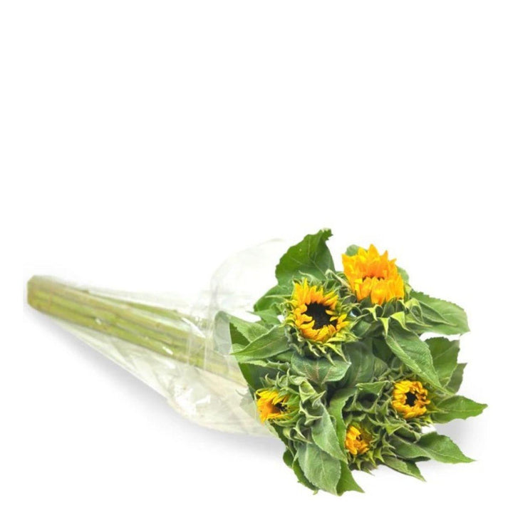Close-up of five closed sunflower stems from Vegpro Kenya, showcasing vibrant yellow flower buds and green foliage.