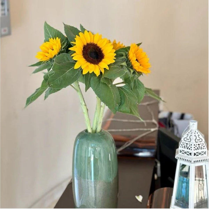 Close-up of five closed sunflower stems from Vegpro Kenya, showcasing fresh green stems and budding yellow sunflower flowers.