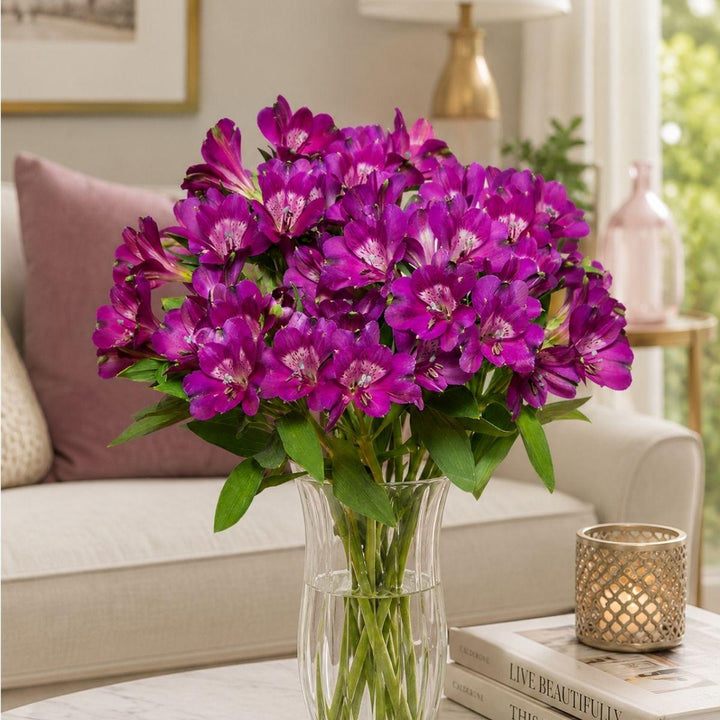 Purple Alstroemeria flowers from SQ Flora Kenya with 10 stems, showcasing vibrant purple blooms and green foliage.