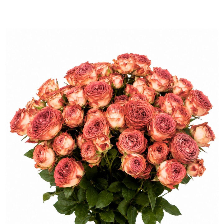 Bouquet of 10 spray roses from Vegpro Kenya in a garden setting, perfect for home and garden decor.