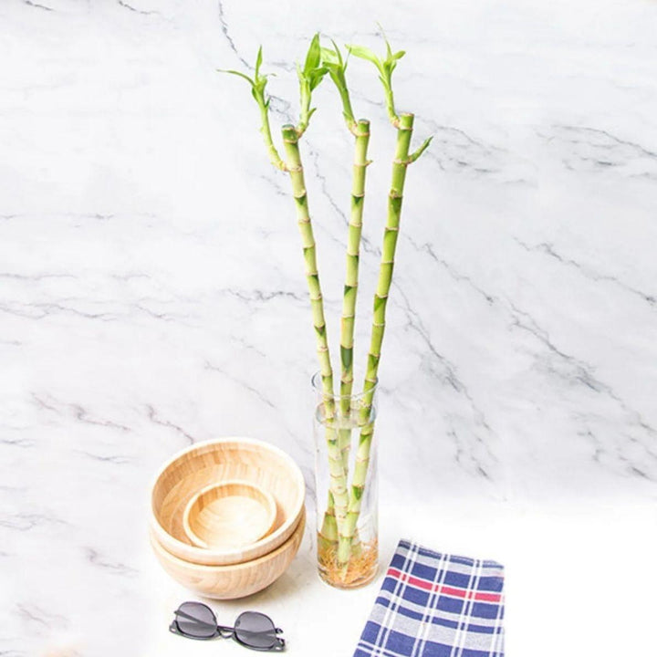 Straight lucky bamboo stems in a clear vase with spa accessories, from Sharbatly.