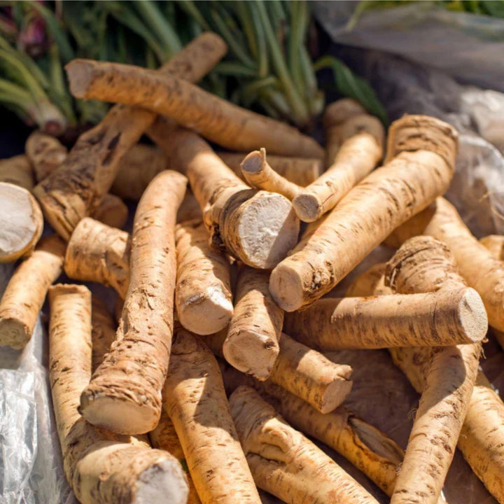 Freshly harvested horseradish roots in a rustic pile, from Sharbatly.