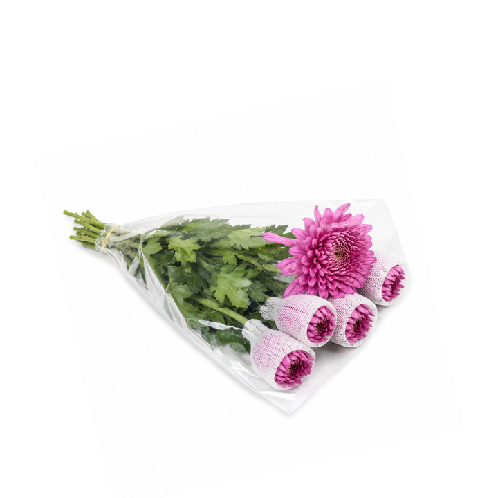 Chrysanthemums, Deco Chrys, Petrushika fresh-cut flowers in a protective sleeve, from Sharbatly.