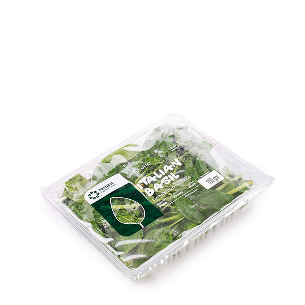 Fresh hydroponic basil herb bunch from Mishkat, vibrant green leaves, 0.1 kg for culinary use.
