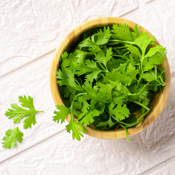 Organic coriander herb in a 0.13 kg pack by Naqwat Al Nana, fresh green coriander leaves on a white background.
