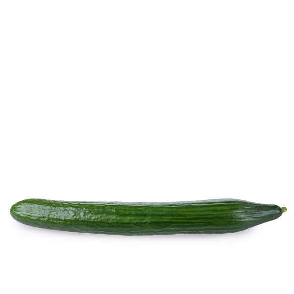 Extra large English cucumber from Holland, fresh vegetable, single whole cucumber with textured green skin.