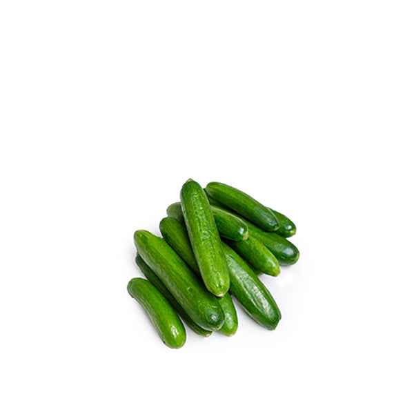 Fresh mini cucumbers from Mishkat, small and crunchy vegetables perfect for salads and snacking.
