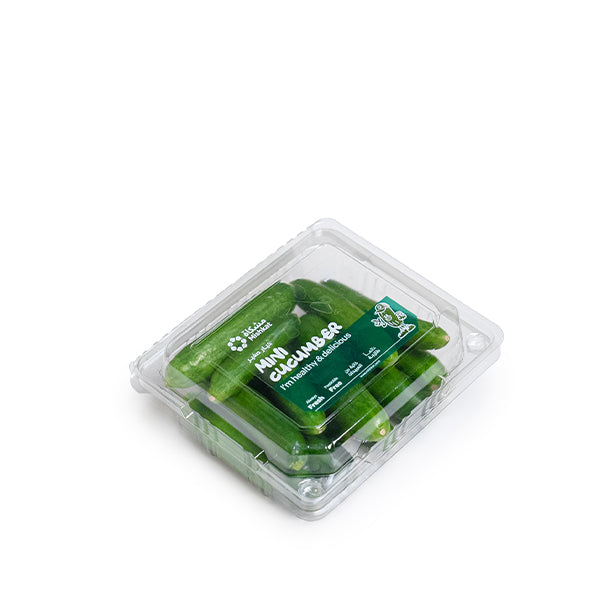 Fresh mini cucumbers from Mishkat, small green vegetables perfect for salads and snacks, shown in the image.