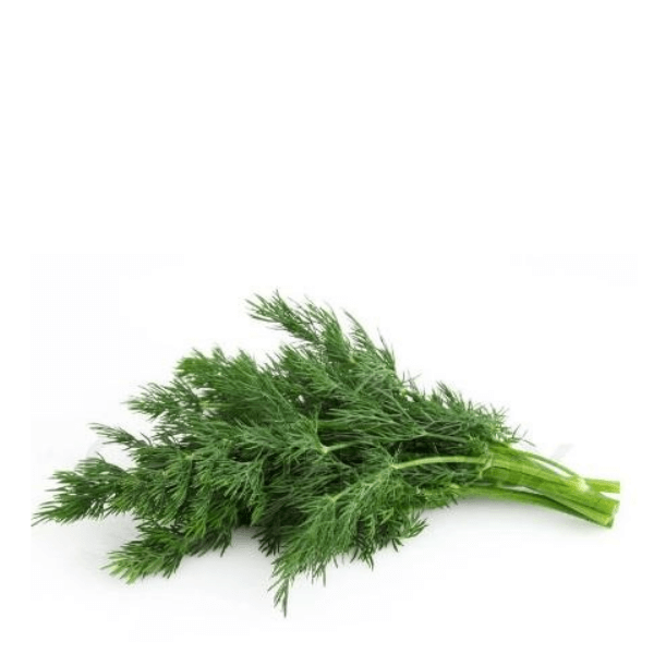 Fresh dill herb bunch from Local Market, vibrant green leaves, 0.1 kg, ideal for cooking and garnishing dishes.