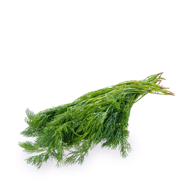 Fresh dill bunch from local market, 0.1 kg herb bundle with vibrant green feathery leaves on a white background.