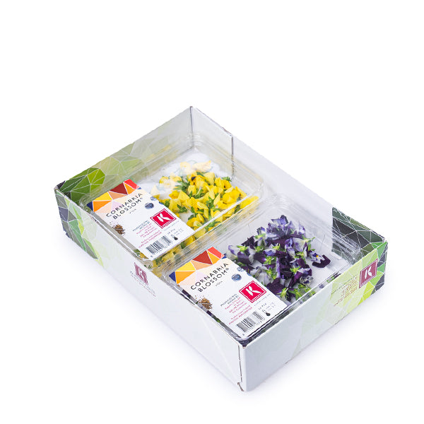 Two packs of Holland edible flowers with cornabria blossoms and viola flowers, totaling 100 colorful edible blooms.