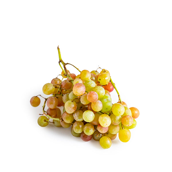 Fresh mango grapes in a 0.5 kg pack by Sharbatly, showcasing vibrant, ripe grapes ready to eat.