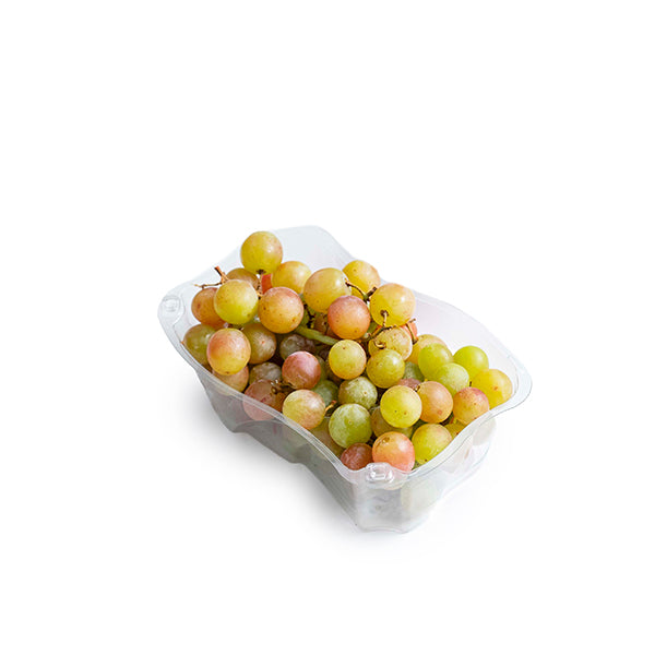 Fresh mango grapes from Sharbatly, 0.5 kg pack, showcasing plump, ripe grapes with a vibrant mix of mango and grape flavors.